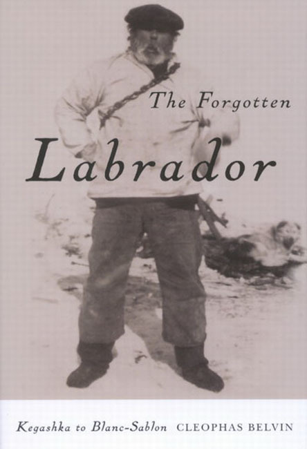 Forgotten Labrador