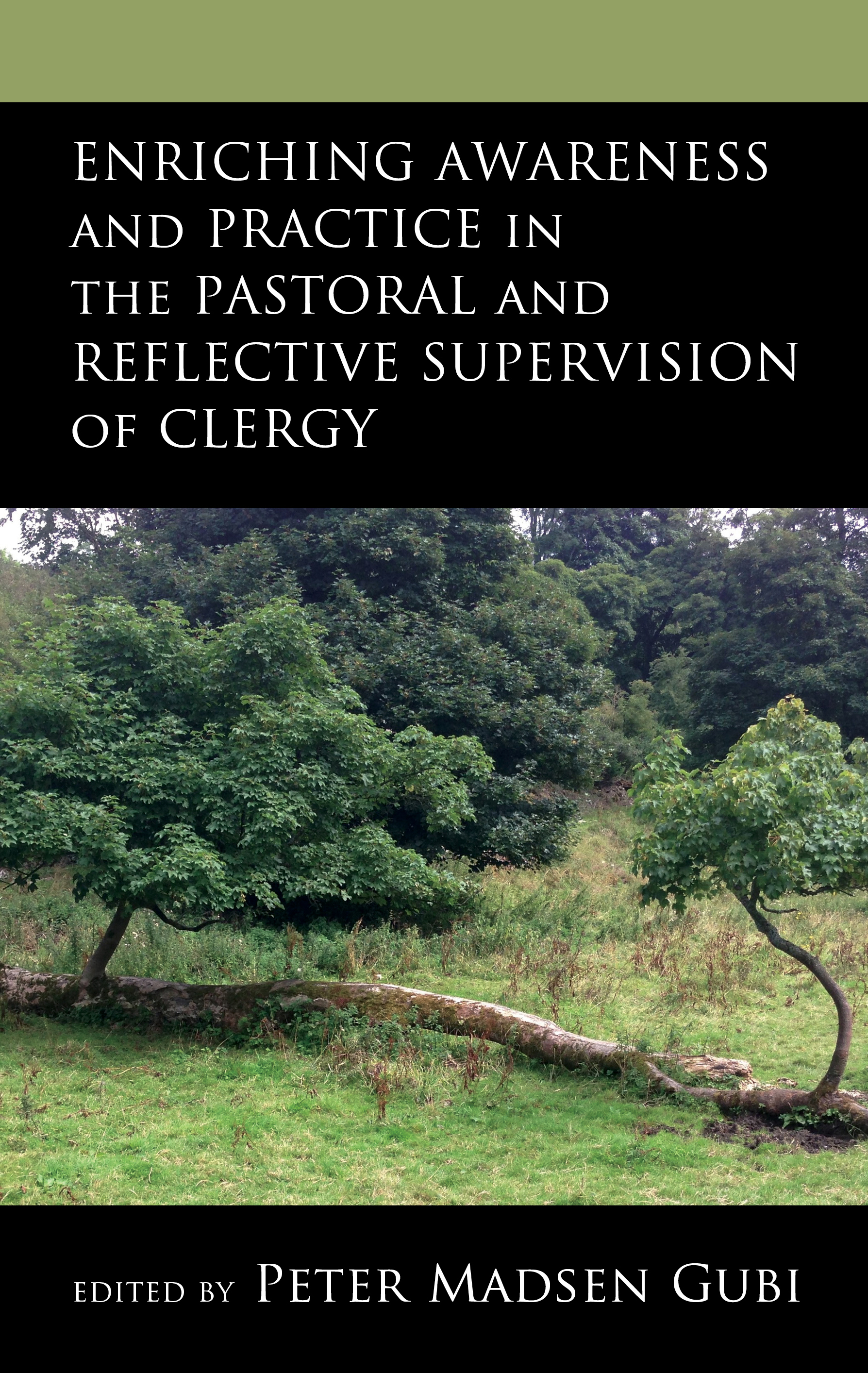 Enriching Awareness and Practice in the Pastoral and Reflective Supervision of Clergy