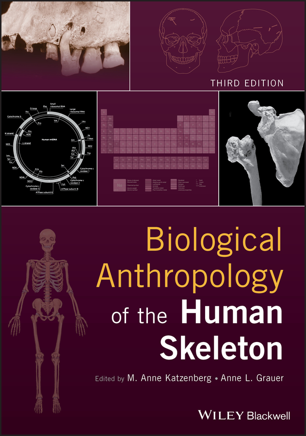 Biological Anthropology of the Human Skeleton 3rd Edition