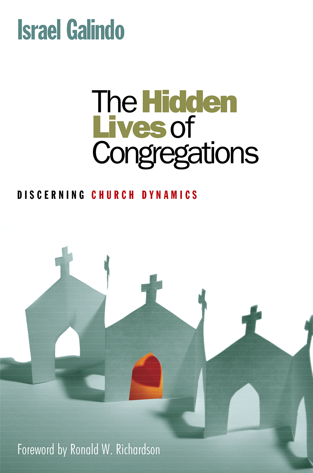 The Hidden Lives of Congregations: Discerning Church Dynamics