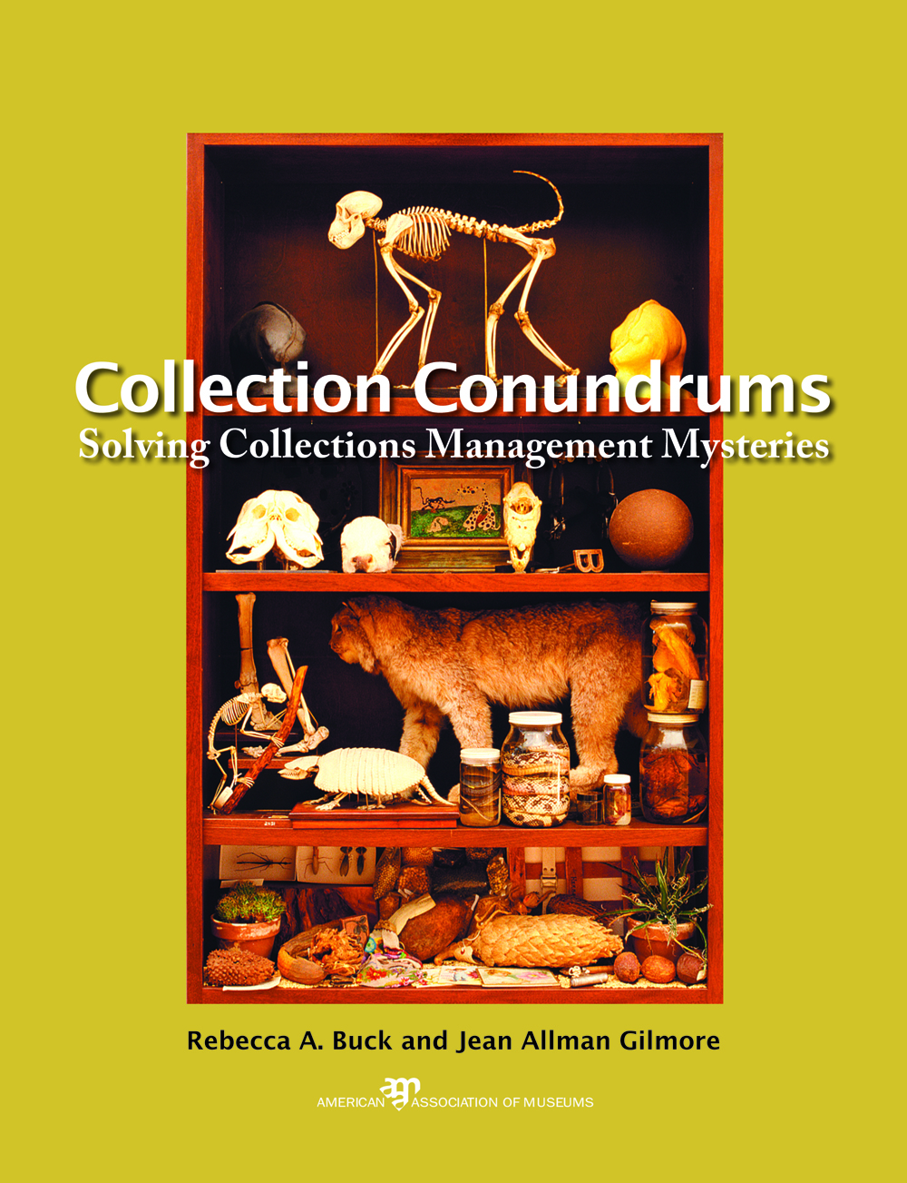 Collection Conundrums: Solving Collections Management Mysteries
