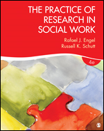 The Practice of Research in Social Work (180 Day Access)