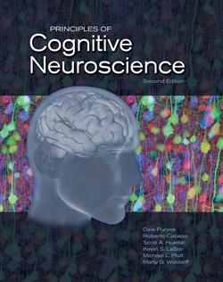 180 Day Rental Principles of Cognitive Neuroscience