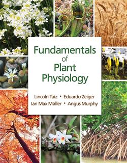180-day rental: Fundamentals of Plant Physiology