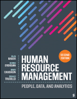 Human Resource Management: People, Data, and Analytics 2e (180 Day Access)
